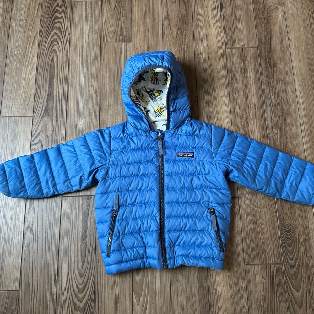 Patagonia Reversible Down Sweater Hooded Puffer Jacket - Toddler Boys